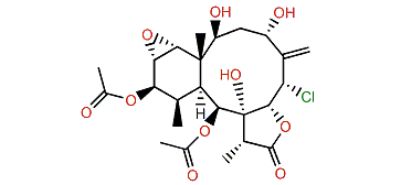 Briarenolide W